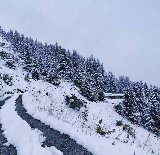 De 80m² Plein Sud Entierement Renove